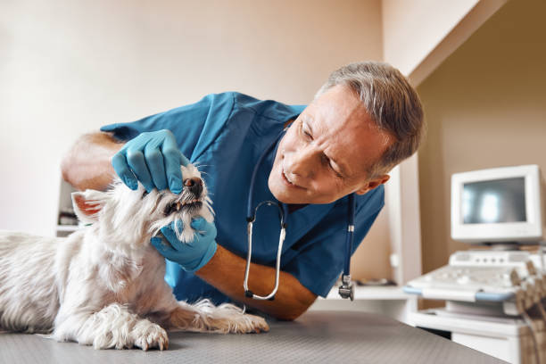 Best Emergency Root Canal Treatment in Columbus Af, MS